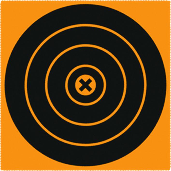 Birchwood Casey 36123 Big Burst 12" Target 3/Pk
