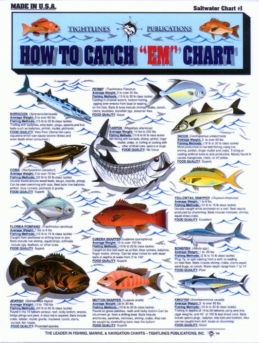 Tightlines 00001 How To Catch Em Chart #1 Saltwater
