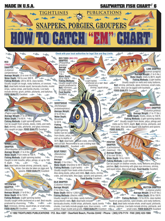 Tightlines 00008 How To Catch Em Chart #6 Snapper/Porgy/Grouper