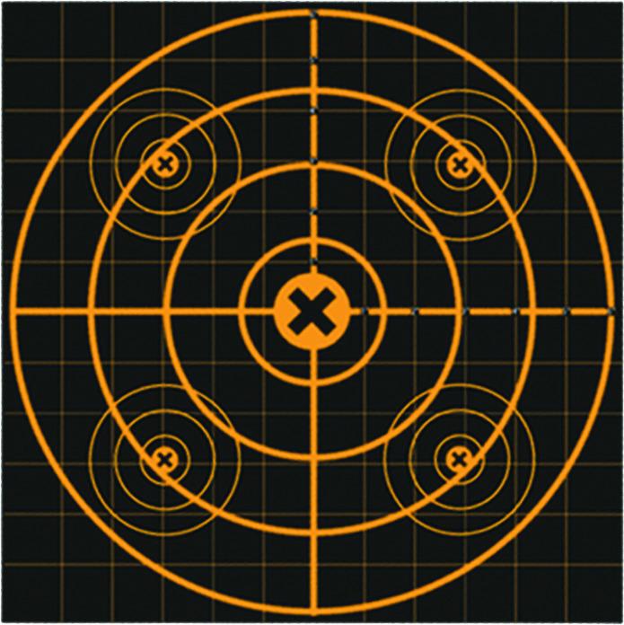 Birchwood Casey 36213 Big Burst 12" Sight In Target 3/Pk