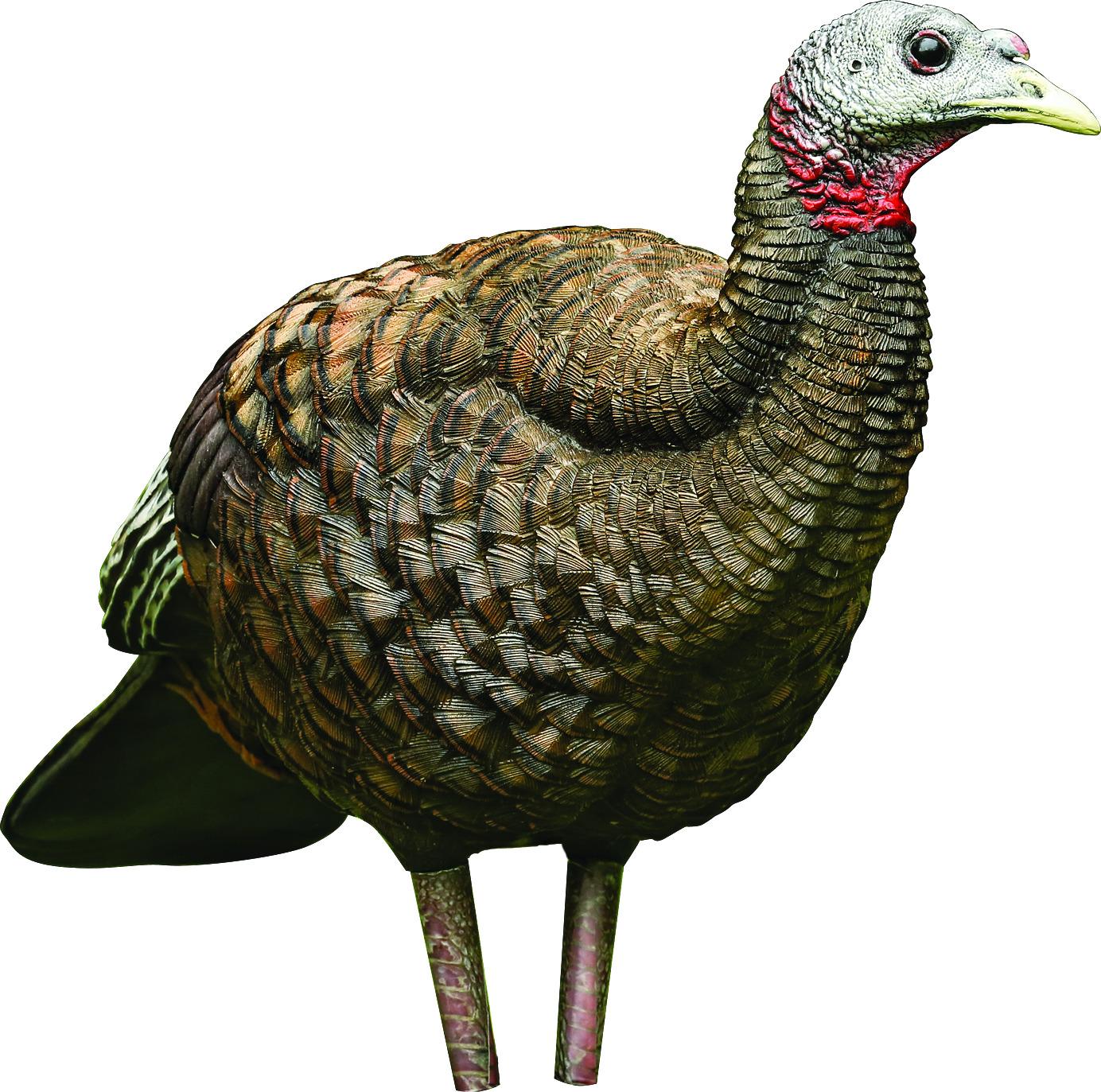 Avian-X 8008 LCD Breeder Hen Turkey Decoy, Full Body, Inflatable